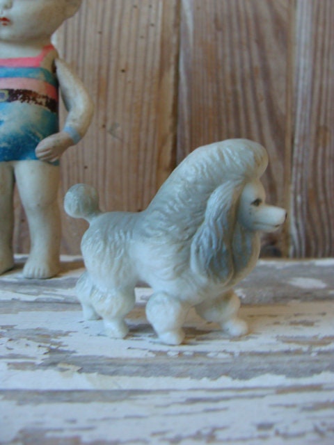 POODLE VARIETY 6冊セット