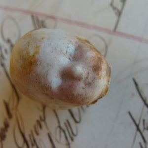 Antique Rare German Doll Head Digging Deeper