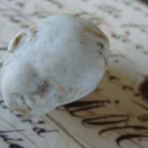 Antique Rare German Doll Head Digging Deeper 516