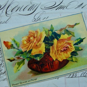 Antique 1900s Stunning Water Color French Trade Card