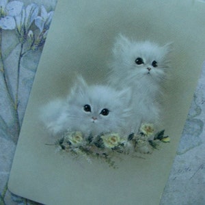 Op de afbeelding: Twee witte kittens met pluche vacht zitten in een bed van witte bloemen. De kittens hebben zwarte ogen en kijken naar de camera.