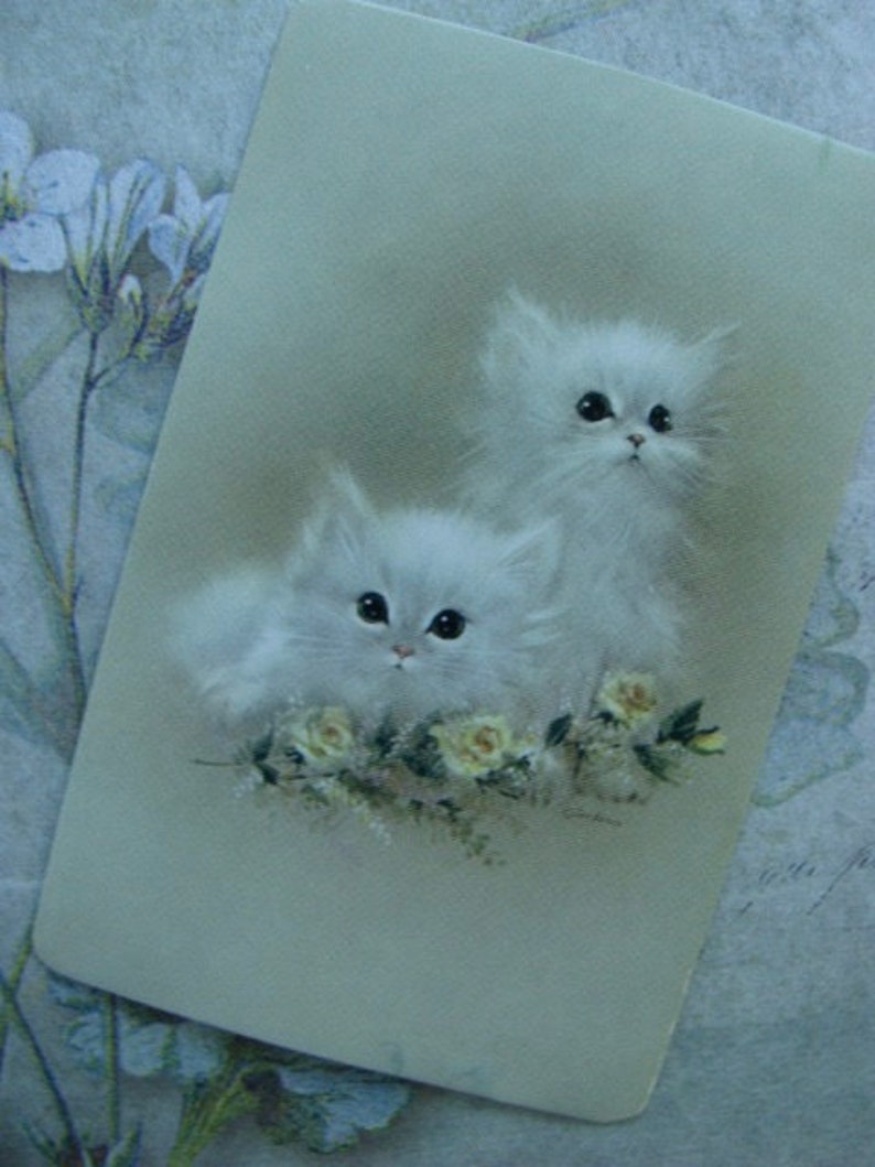 Op de afbeelding: Twee witte kittens met pluche vacht zitten in een bed van witte bloemen. De kittens hebben zwarte ogen en kijken naar de camera.