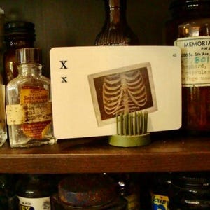 Rare Vintage Skeleton  Flash Card 1950s Antique Vintage Halloween Decor Display