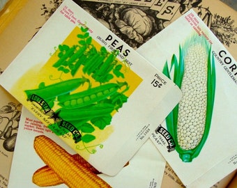 3 Antique Empty Seed Packets Unused Vintage Garden Seed Ephemera