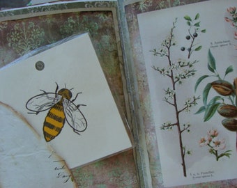 Large Vintage Farmhouse Bumble Bee Flash Card