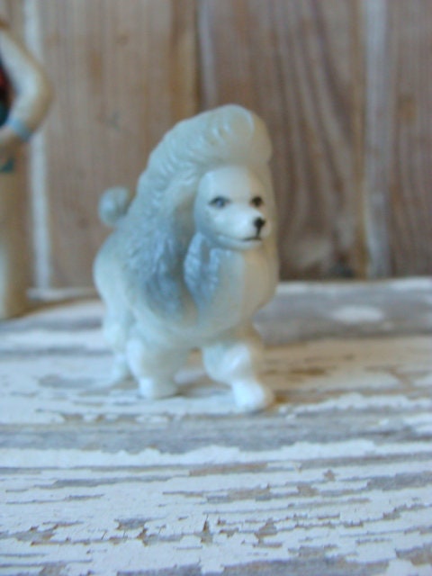 POODLE VARIETY 6冊セット