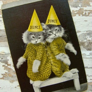 May include: Two gray cats wearing yellow dunce caps sit on a wooden stool. The caps have the word "DUNCE" printed on them.