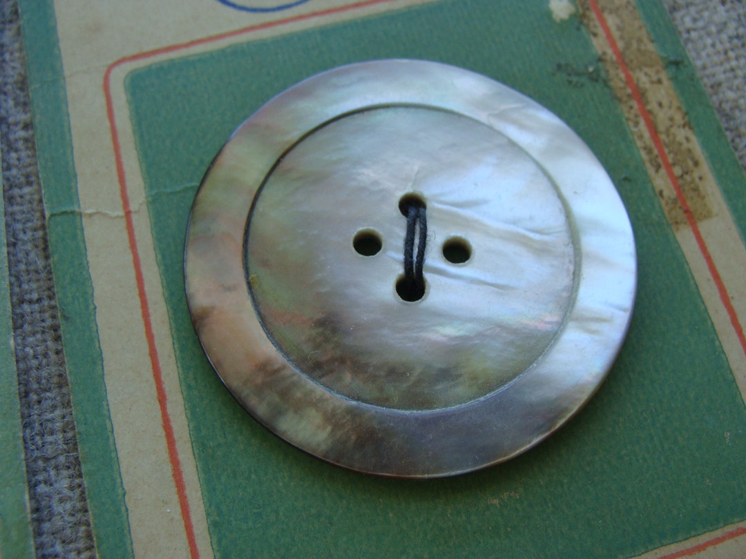 Two Beautiful Large Shell Antique Button Cards - Etsy