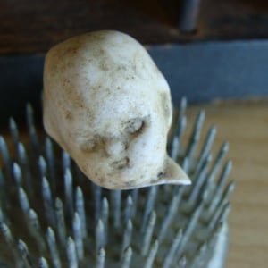Antique Rare German Doll Head Digging Deeper