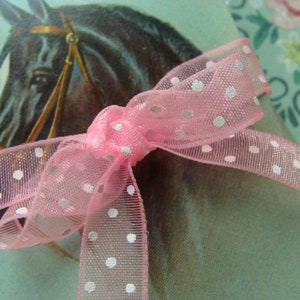May include: A pink polka dot ribbon tied in a bow on top of a brown horse head.