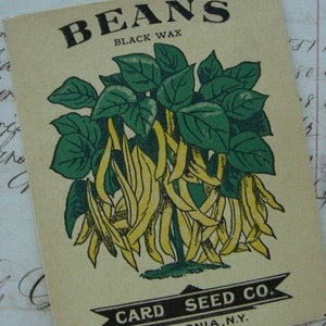 Antique Gorgeous Empty Farmhouse Kitchen Seed Packet Unused Wonderful for Journals and Garden Books