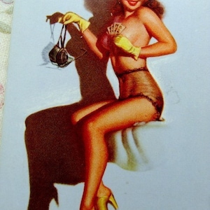 Vintage Pin Ups Company B Signature Pin Up Card Lot
