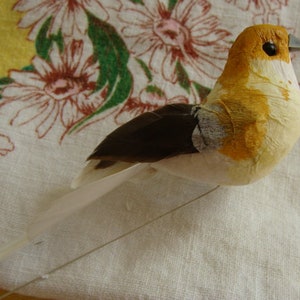 Pretty Bird for Wreaths, Hats and Millinery