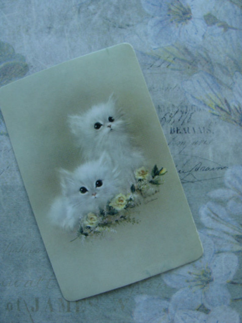 Op de afbeelding: Een vintage kaart met twee witte kittens met blauwe ogen, omringd door witte bloemen. De kittens knuffelen elkaar en hebben een zacht, pluche uiterlijk.