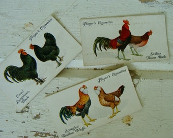 3 Antique Unique Beautiful Litho Roosters Tobacco 1900s Trade cards N032