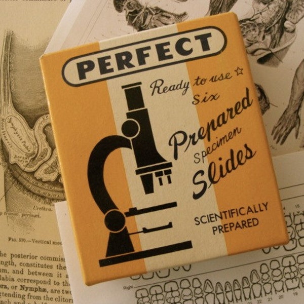 Microscope Slides Etsy