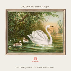 Swan and Chicks Art Print: Elegant Lake Scene on Textured Paper