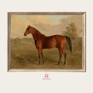 Horse Wall Art, Equestrian Print, Vintage Horse Art, Farmhouse Horse Decor, Antique Animal Print, Only Print #P0038