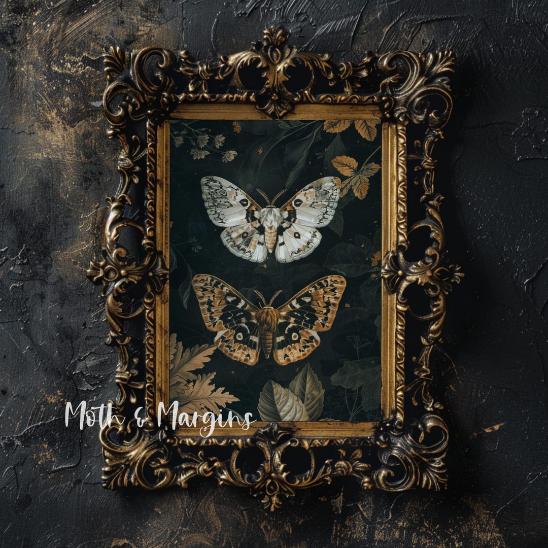 Vintage Moth Wall Art Dark Academia Printable Gothic Entomology Insect ...