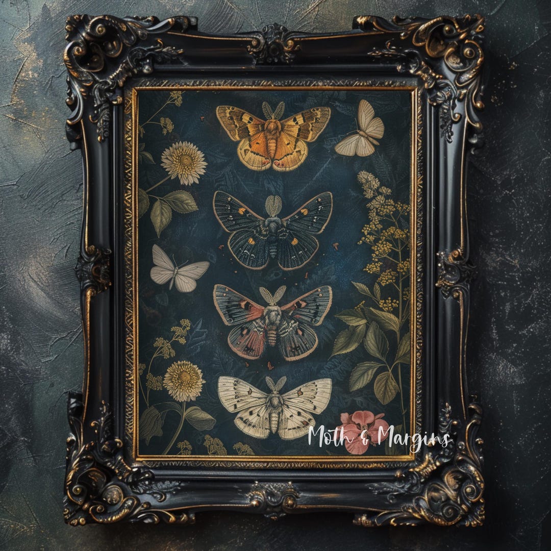 Dark Academia Moth Wall Art Printable, Vintage Entomology Botanical ...