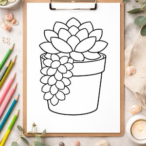 May include: Black and white line drawing of a succulent plant in a pot. The plant has large, layered leaves at the top and a cascading cluster of smaller leaves. The pot is a simple, rounded shape.