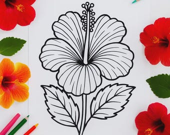 Hawaii Blumen Malseiten: Hibiskus Malseiten zum Ausdrucken, sofortiger PDF-Download