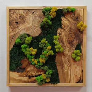 Moss and Olive Wood Wall Art, Square Wooden Frame Moss Wall Decor, Home Decor, Preserved Stabilized Moss, Living Room Decor, Wall Hangings
