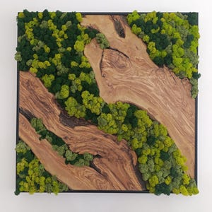 Framed Olive Tree Moss Wall Art: Rustic Metal Decor