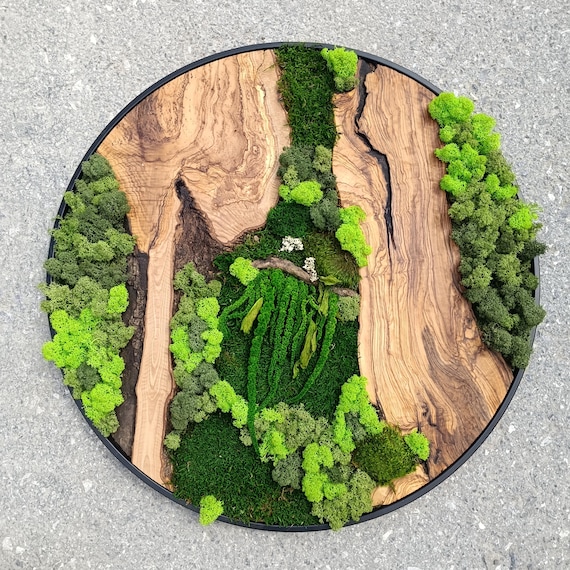 Moss and Wood Wall Art, Rustic Greenery Decor, Home, Office Decor, Aesthetic Room Decoration, Custom Made Olive Wood Moss Wall Decor