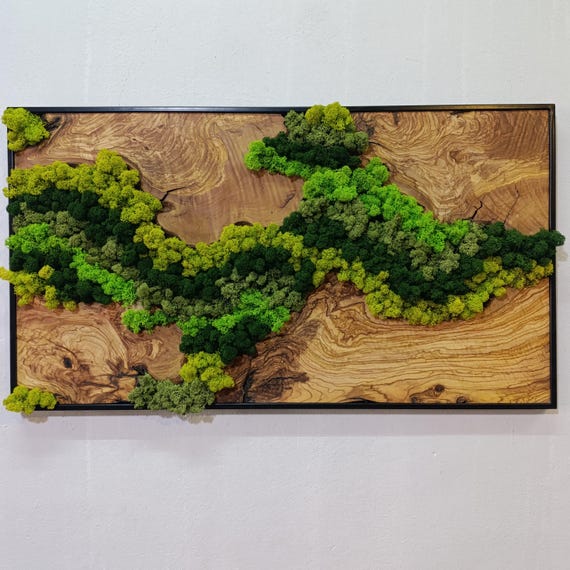 Moss and Wood Wall Art,Rustic Greenery Decor,Natural Wood & Moss Wall Decor for Home,Office Decor,Aesthetic Room Decoration,Moss Wall Decor