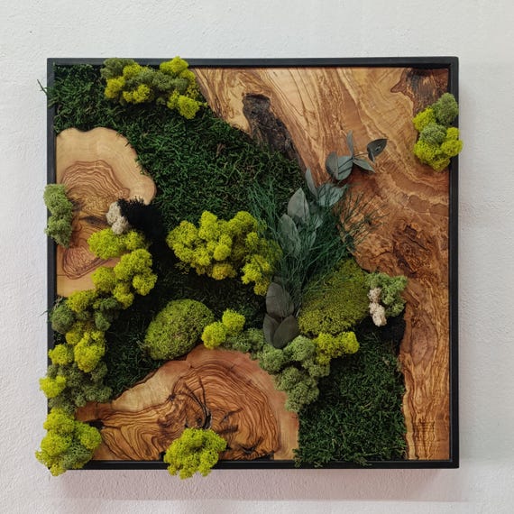 Olive Wood & Moss Wall Art: Rustic Greenery Home Decor