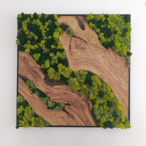 Framed Olive Tree Moss Wall Art: Rustic Metal Decor
