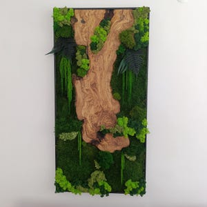 Moss and Wood Wall Art,Rustic Greenery Decor, Home, Office Decor, Aesthetic Room Decoration, Custom Made Olive Wood Moss Wall Decor,Moss Art
