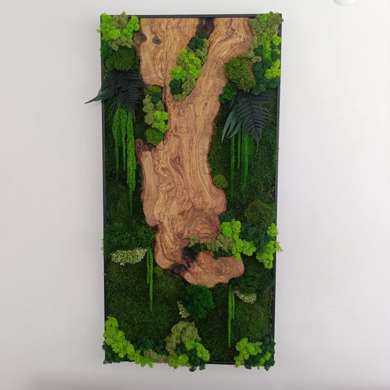 Moss and Wood Wall Art,Rustic Greenery Decor, Home, Office Decor, Aesthetic Room Decoration, Custom Made Olive Wood Moss Wall Decor,Moss Art