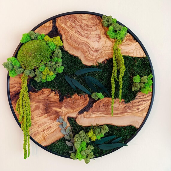 Custom Olive Wood & Preserved Moss Wall Art - Biophilic Decor