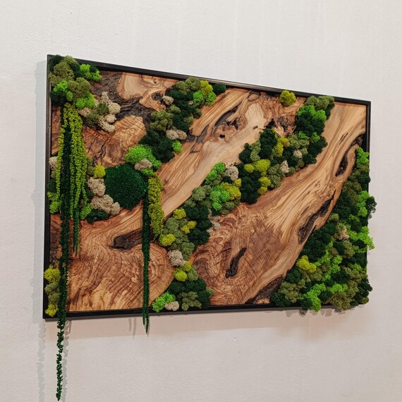 Moss and Wood Wall Art,Rustic Greenery Decor,Natural Wood & Moss Wall Decor for Home,Office Decor,Aesthetic Room Decoration,Moss Wall Decor