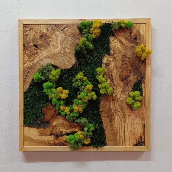 Moss and Olive Wood Wall Art, Square Wooden Frame Moss Wall Decor, Home Decor, Preserved Stabilized Moss, Living Room Decor, Wall Hangings