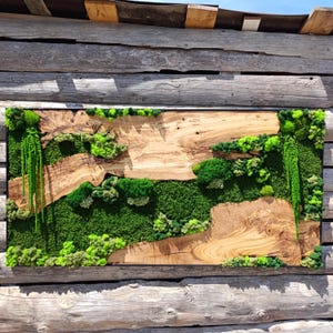 Moss and Wood Wall Art, Rustic Greenery Decor, Home, Office Decor, Aesthetic Room Decoration, Custom Made Olive Wood Moss Wall Decor