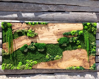 Moos und Holz Wandkunst, rustikales Greenery Dekor, Haus, Büro Dekor, ästhetische Raumdekoration, maßgeschneiderte Olivenholz Moos Wanddekoration