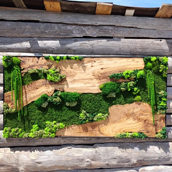 Moss and Wood Wall Art, Rustic Greenery Decor, Home, Office Decor, Aesthetic Room Decoration, Custom Made Olive Wood Moss Wall Decor