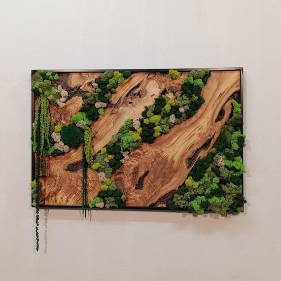 Moss and Wood Wall Art,Rustic Greenery Decor,Natural Wood & Moss Wall Decor for Home,Office Decor,Aesthetic Room Decoration,Moss Wall Decor