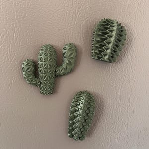 Cactus magnets