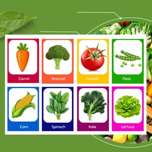 30 schede didattiche sulle verdure perfette per i bambini da 1 a 3 anni