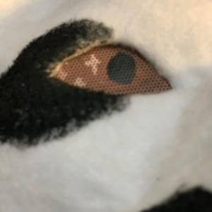 May include: Close-up of a plush toy eye. The eye is a light brown color with a black pupil. The eye is surrounded by black fur and set against a white background.