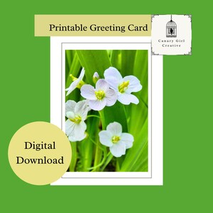 Printable Greeting Card | Digital Greeting Card | Botanical Print | Blank Notecard | Floral Greeting Card | Instant Download | Nature Card