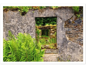 Postcards Pack of 10 A6 Size Nature Print