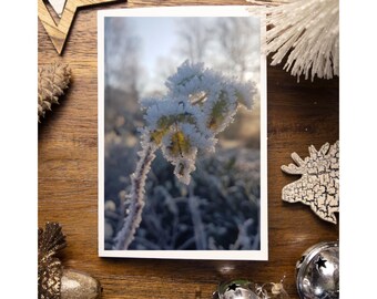 Christmas Cards Pack of 10 A6 Size Photographic Print