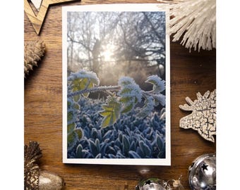 Christmas Cards Pack of 10 A6 Size Photographic Print