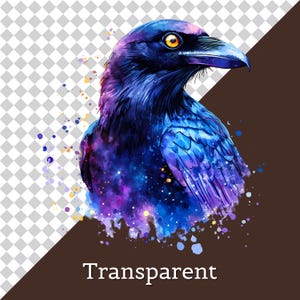 Pu&ograve; includere: Un'illustrazione digitale di un corvo caratterizzata da una vibrante tavolozza di colori ispirata a una galassia, con tonalit&agrave; blu profondo, viola e rosa. L'uccello ha un becco affilato e un occhio giallo brillante, con schizzi di colore.