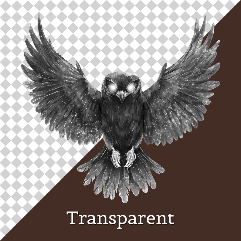 May include: A black and white illustration of an owl with outstretched wings. The owl has glowing white eyes and a detailed feather pattern. The word "Transparent" is written in white at the bottom.